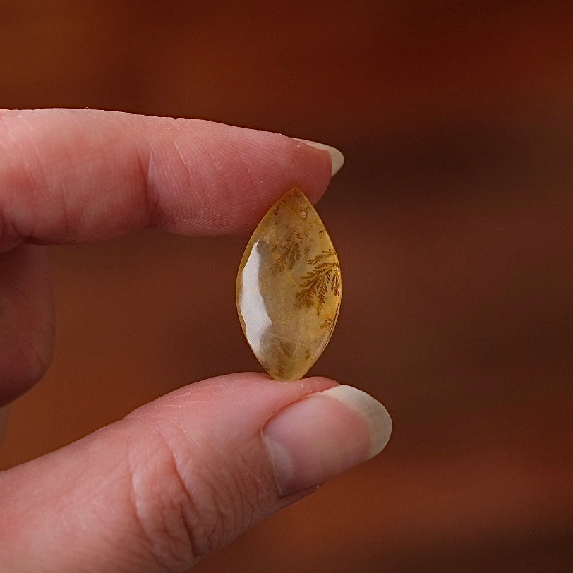 Dendritic Golden Healer Quartz | Crystal Cab