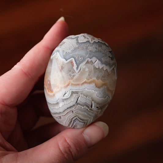 Crazy Lace Agate Palm | Mexican Crazy Lace Crystal Palm
