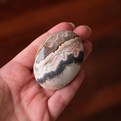 Crazy Lace Agate Palm | Mexican Crazy Lace Crystal Palm