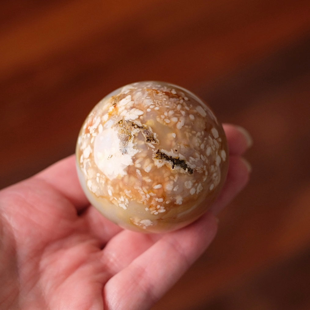 Flower Agate Sphere | Cherry Blossom Agate Crystal Sphere