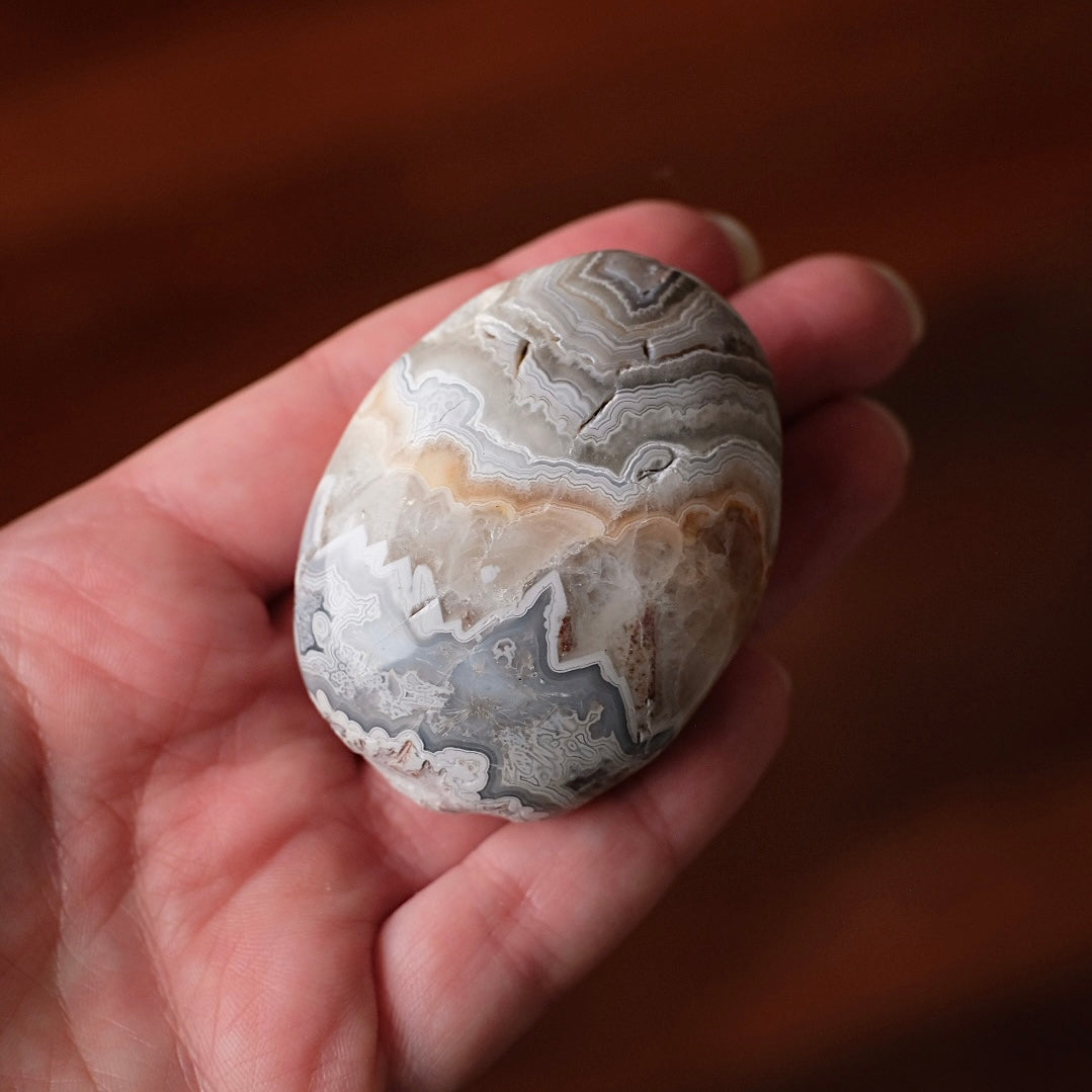 Crazy Lace Agate Palm | Mexican Crazy Lace Crystal Palm