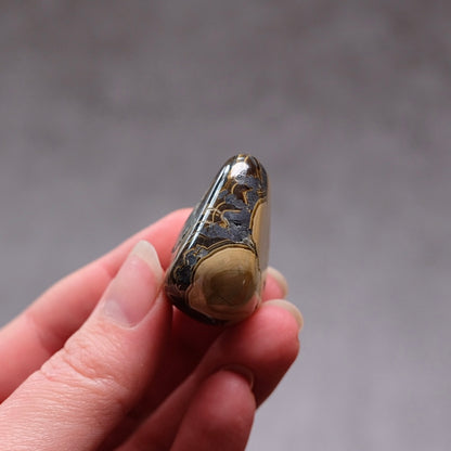 Schalenblende Tumble | Rare Tumbled Crystal | Pocket Stone