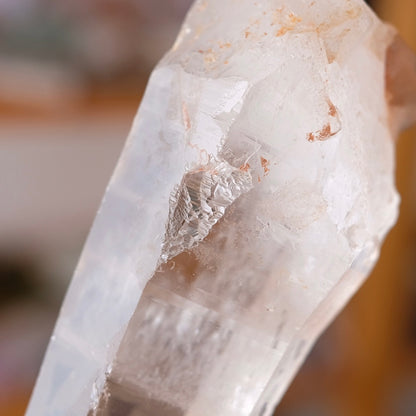 XL Scarlet Temple Lemurian Quartz Point | Pink Lemurian Seed Crystal