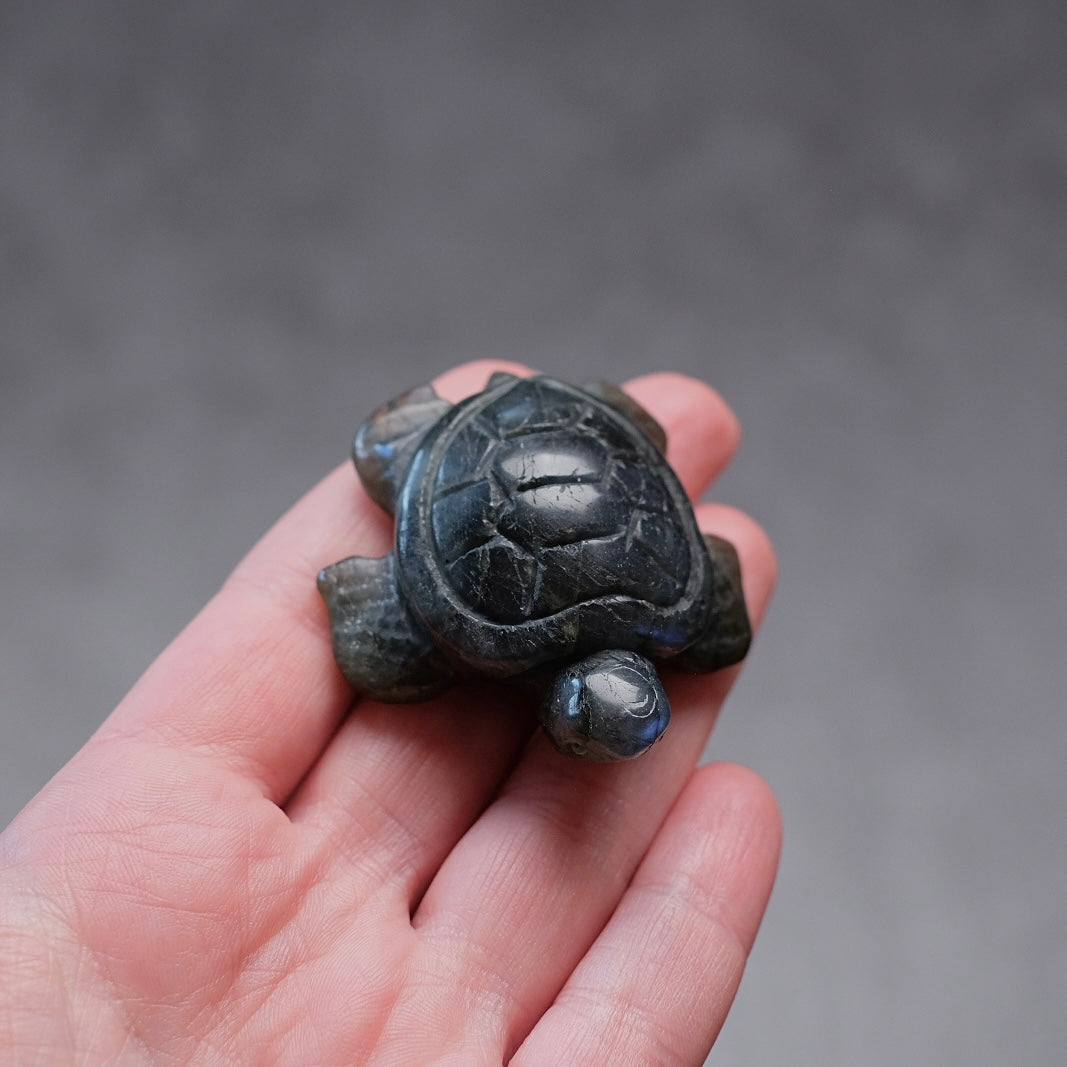 Labradorite Turtle Carving | Crystal Animal | Crystal Turtle