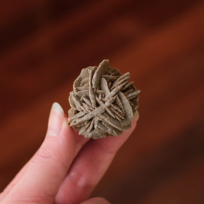 Desert Rose Selenite Specimen | Gypsum Raw Crystal