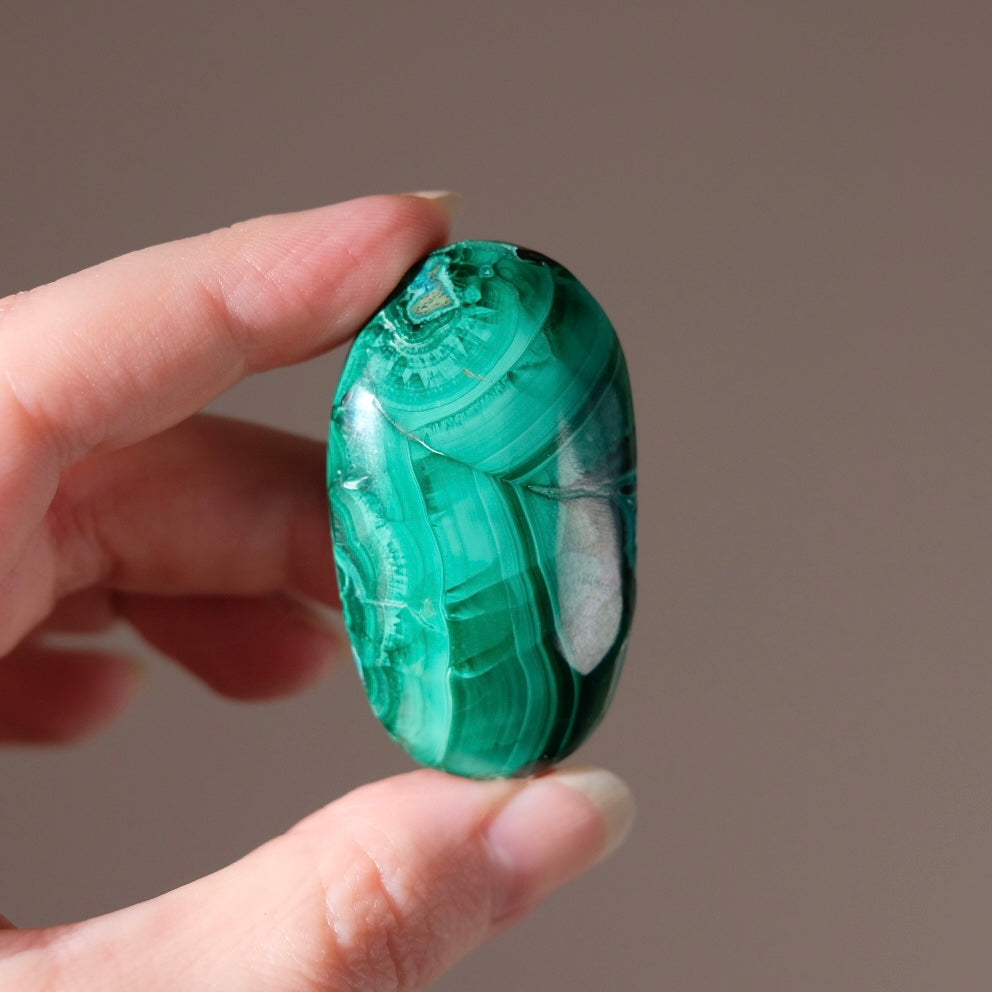 Malachite Palm | Malachite Chrysocolla Crystal Palm