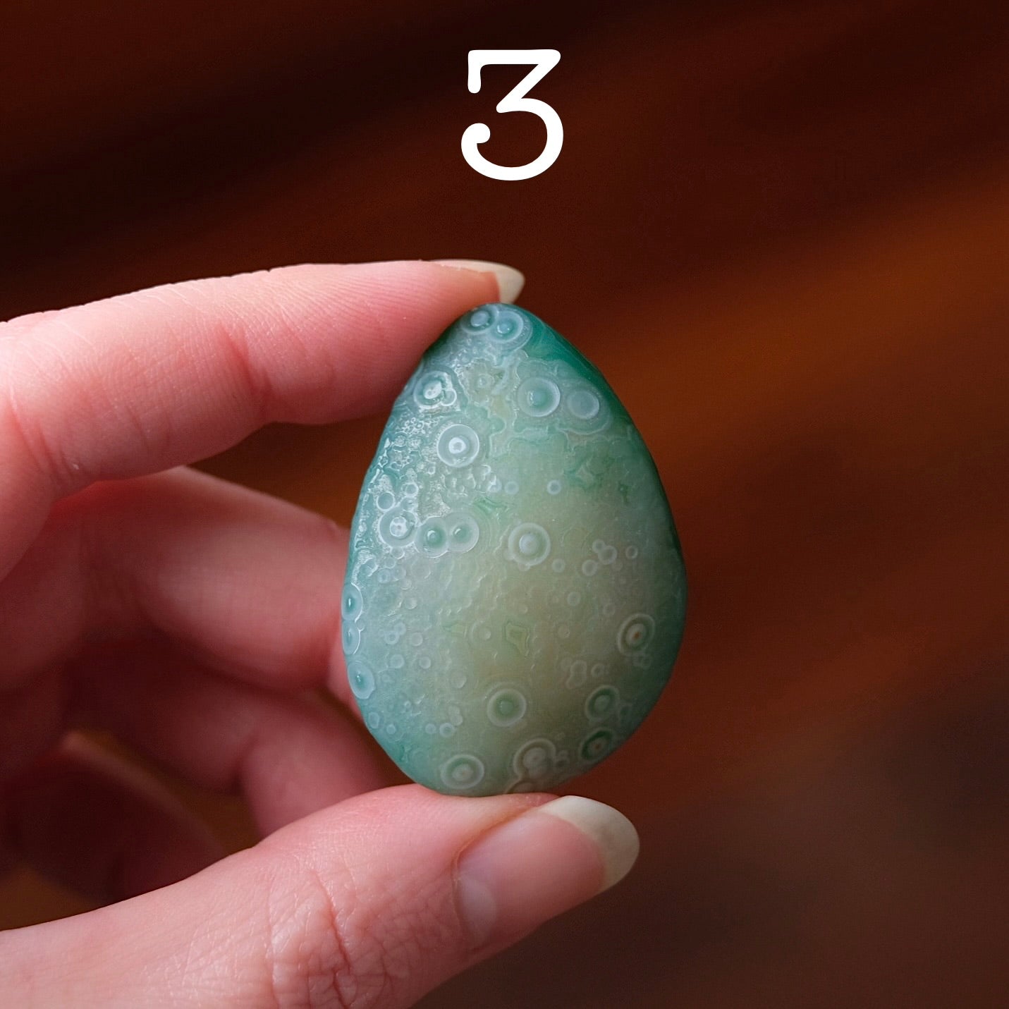 You Choose! Gobi Agate | Gobi Desert Agates