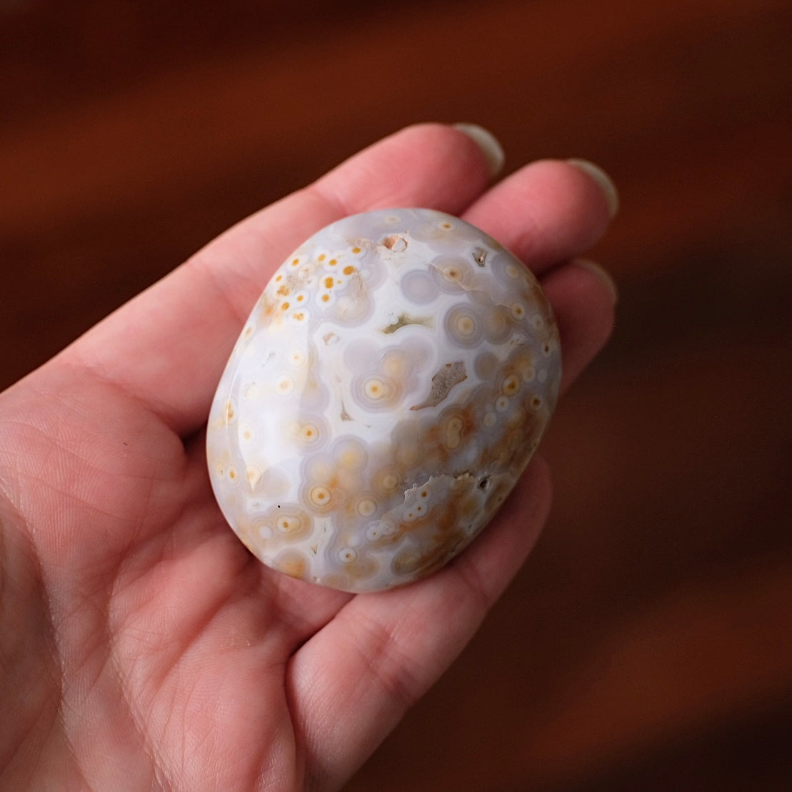Old Stock Ocean Jasper Palm | Orbicular OJ Crystal Palmstone