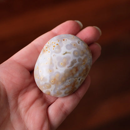 Old Stock Ocean Jasper Palm | Orbicular OJ Crystal Palmstone