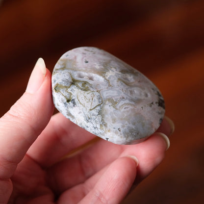 Ocean Jasper Palm | Sea Jasper Crystal Palmstone