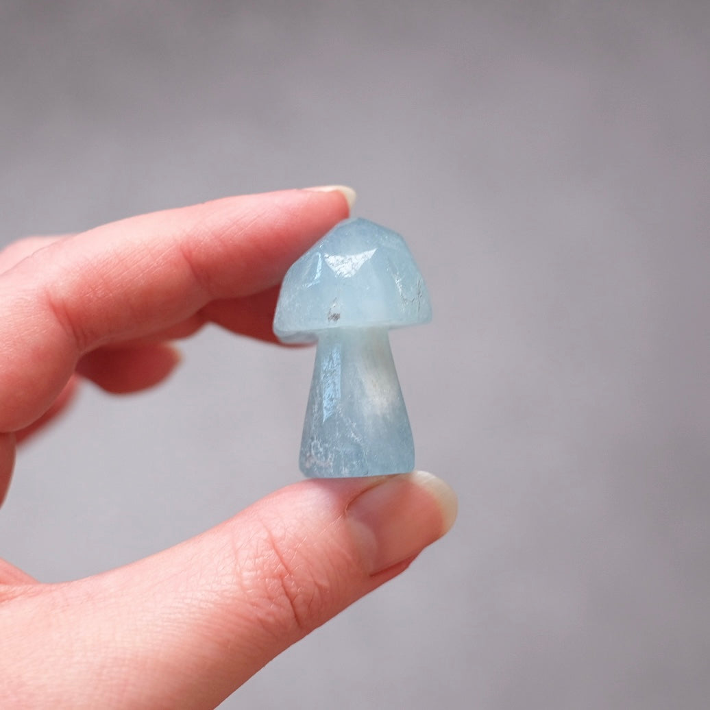 Aquamarine Mushroom | Crystal Mushroom Carving