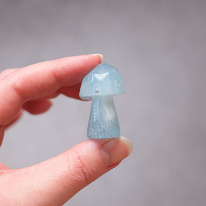 Aquamarine Mushroom | Crystal Mushroom Carving