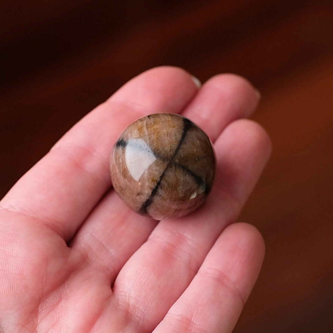 Chiastolite Sphere | Andalusite Crystal Sphere