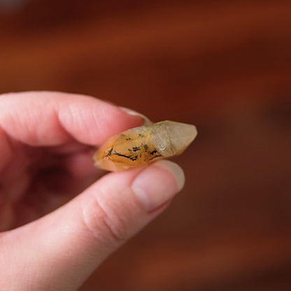 Dendritic Quartz Hexagon | Golden Healer Crystal Jewel | Star of David