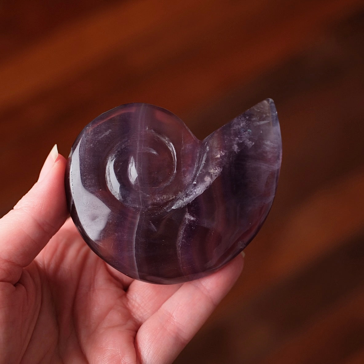 Yttrium Fluorite Ammonite Carving | Pink Fluorite Crystal Shell