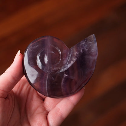 Yttrium Fluorite Ammonite Carving | Pink Fluorite Crystal Shell