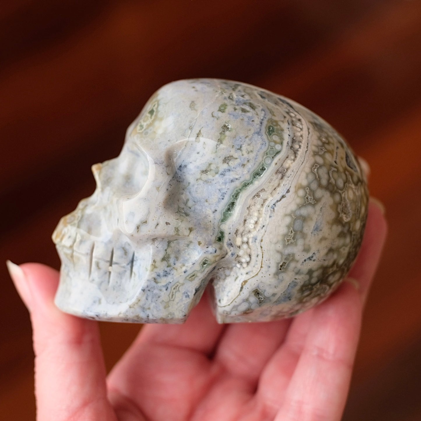 Ocean Jasper Crystal Skull | Orbicular Jasper Stone Skull