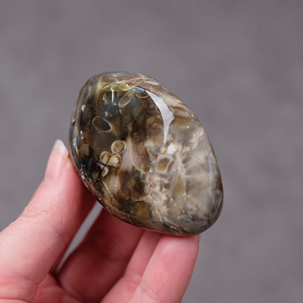 Australian Peanut Wood  | Polished Peanut Wood Crystal Freeform