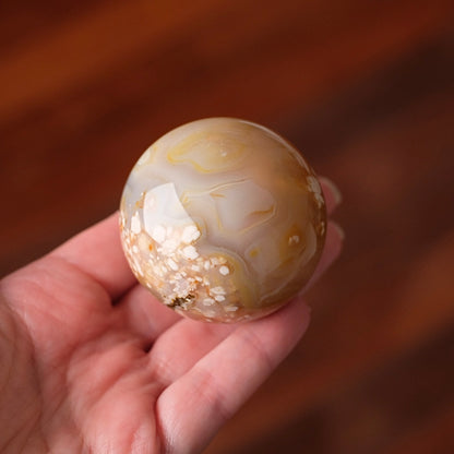 Flower Agate Sphere | Cherry Blossom Agate Crystal Sphere