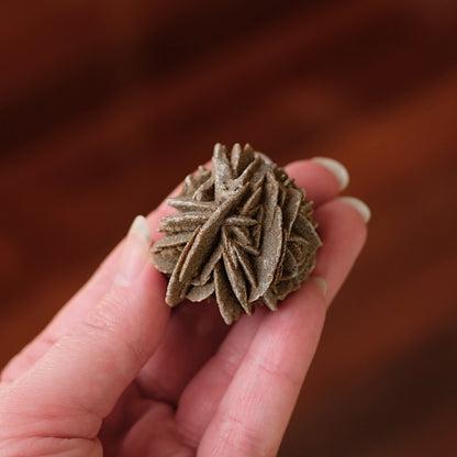 Desert Rose Selenite Specimen | Gypsum Raw Crystal