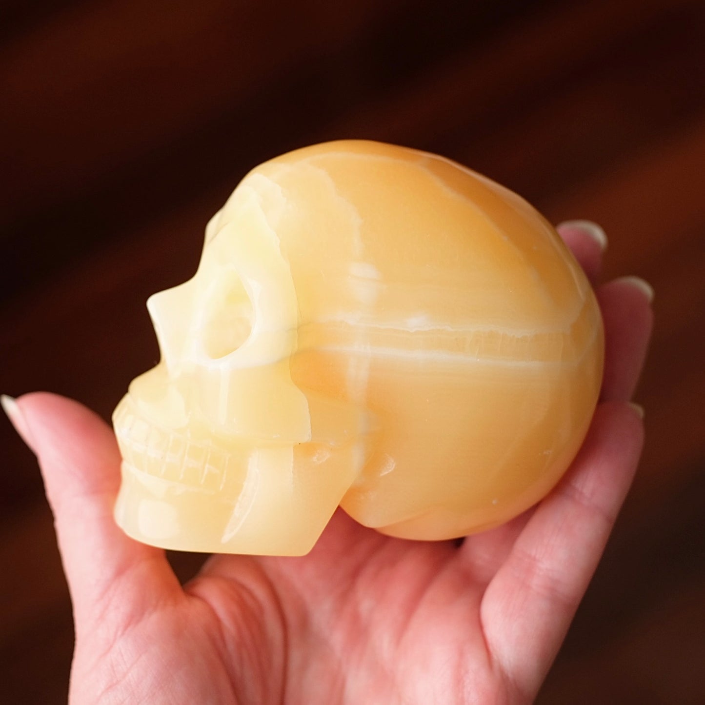 Yellow Calcite Crystal Skull | Calcite Skull