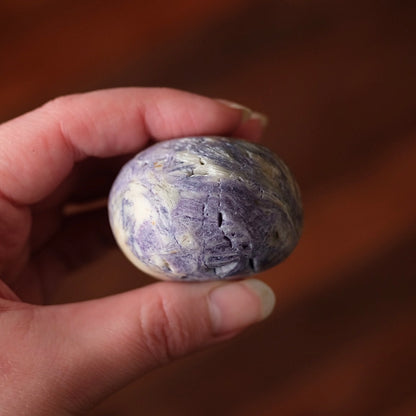 Opalized Sagenitic Fluorite Palm | Crystal Palmstone