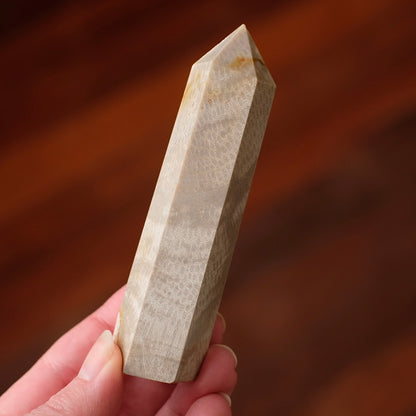Coral Fossil Point | Coral Crystal Tower