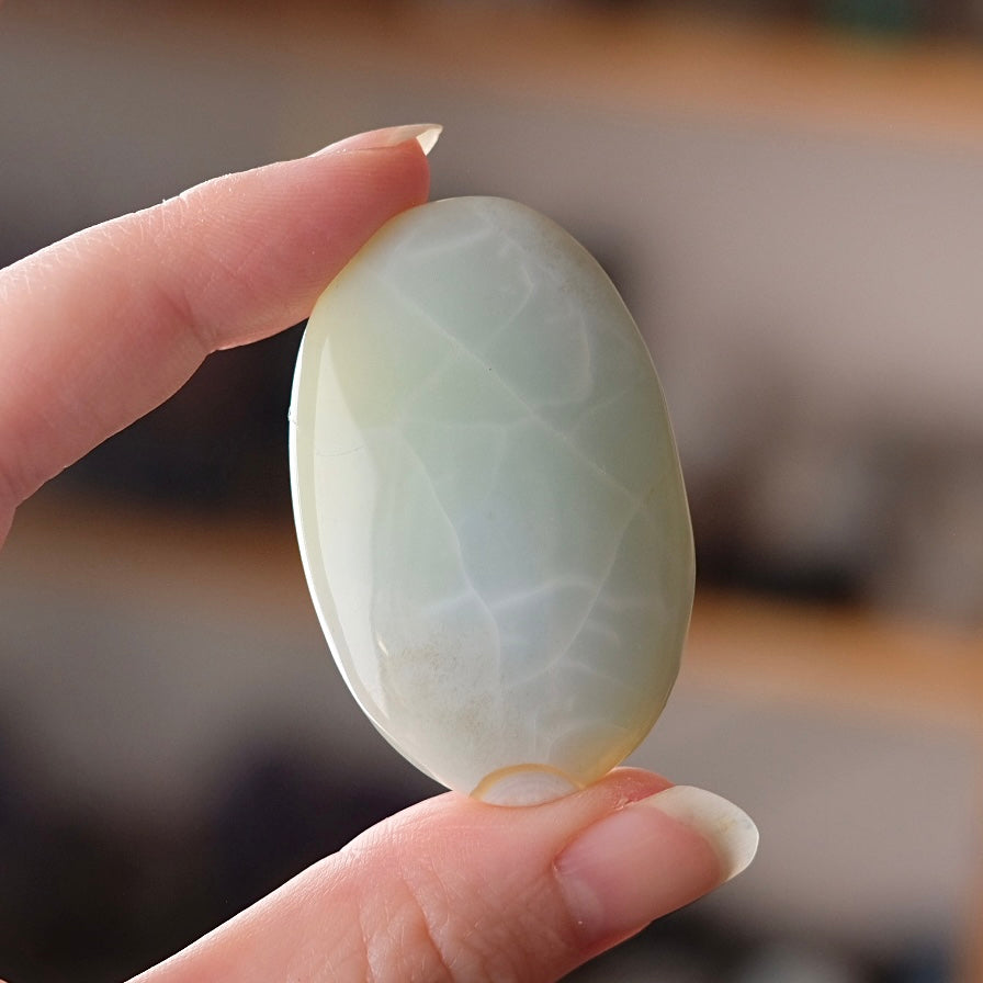 Rare Blue Flower Agate Palm | Green Flower Agate Palm