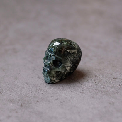 Seraphinite Crystal Skull | Rare Skull Carving
