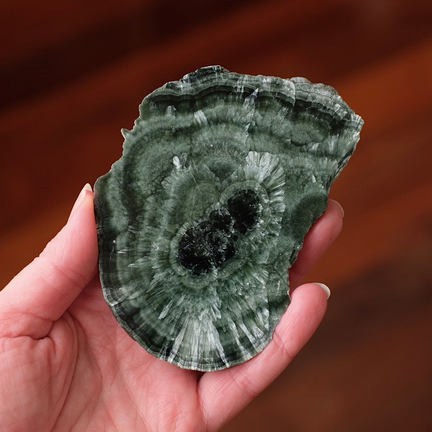 Seraphinite Slice + Stand | Polished Seraphinite Slab