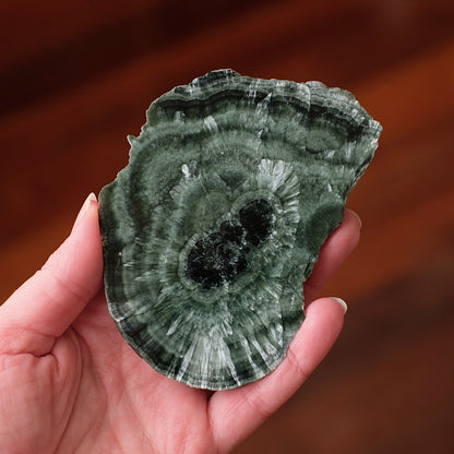 Seraphinite Slice + Stand | Polished Seraphinite Slab