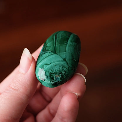 Malachite Palm | Malachite Chrysocolla Crystal Palm
