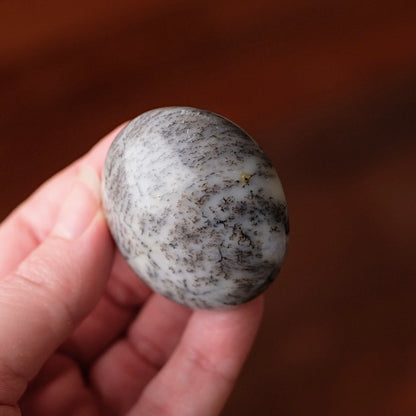 Merlinite Palm Stone | Dendritic Opal Palmstone