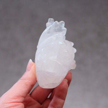 Clear Quartz Anatomical Heart Carving | Human Crystal Heart