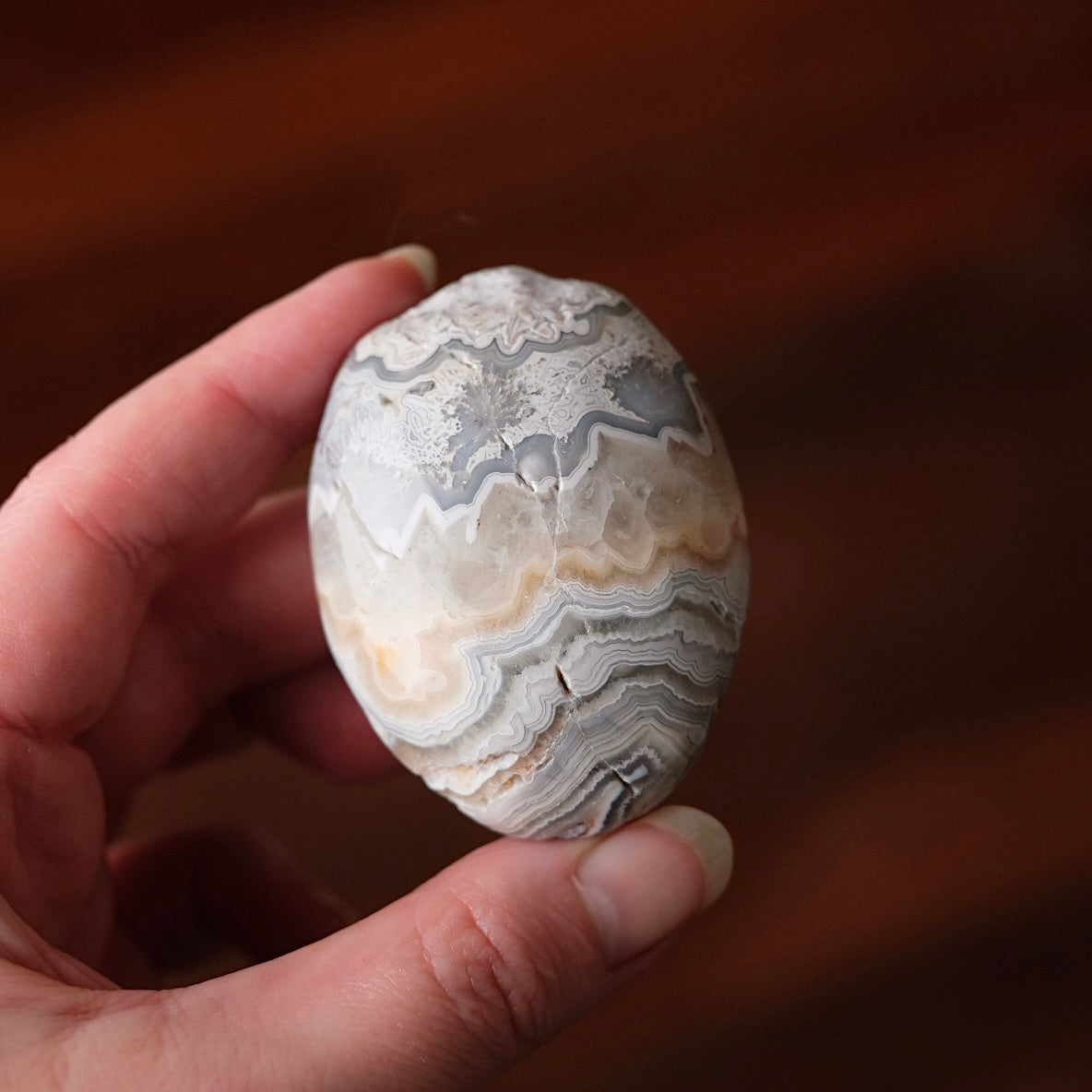 Crazy Lace Agate Palm | Mexican Crazy Lace Crystal Palm