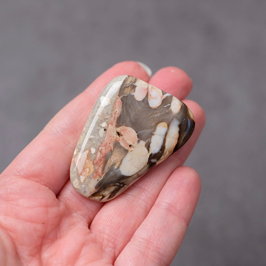 Australian Peanut Wood  | Polished Peanut Wood Crystal Freeform