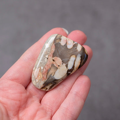 Australian Peanut Wood  | Polished Peanut Wood Crystal Freeform