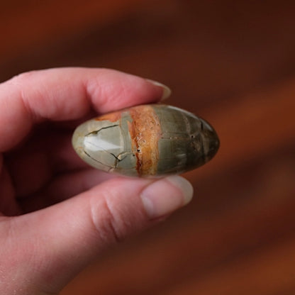 Ibis Jasper Palm | Brecciated Jasper Crystal Palmstone