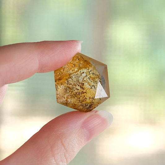 Dendritic Quartz Hexagon | Golden Healer Crystal Jewel | Star of David