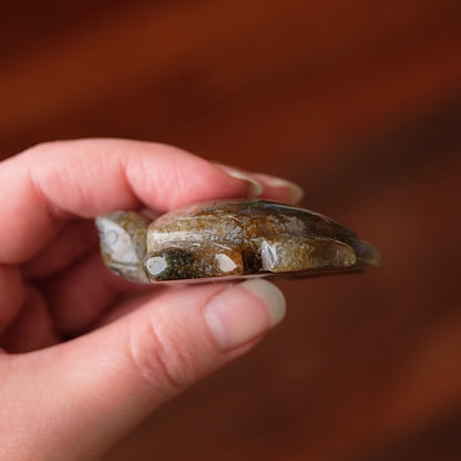 Moss Agate Turtle Carving | Crystal Animal | Crystal Turtle