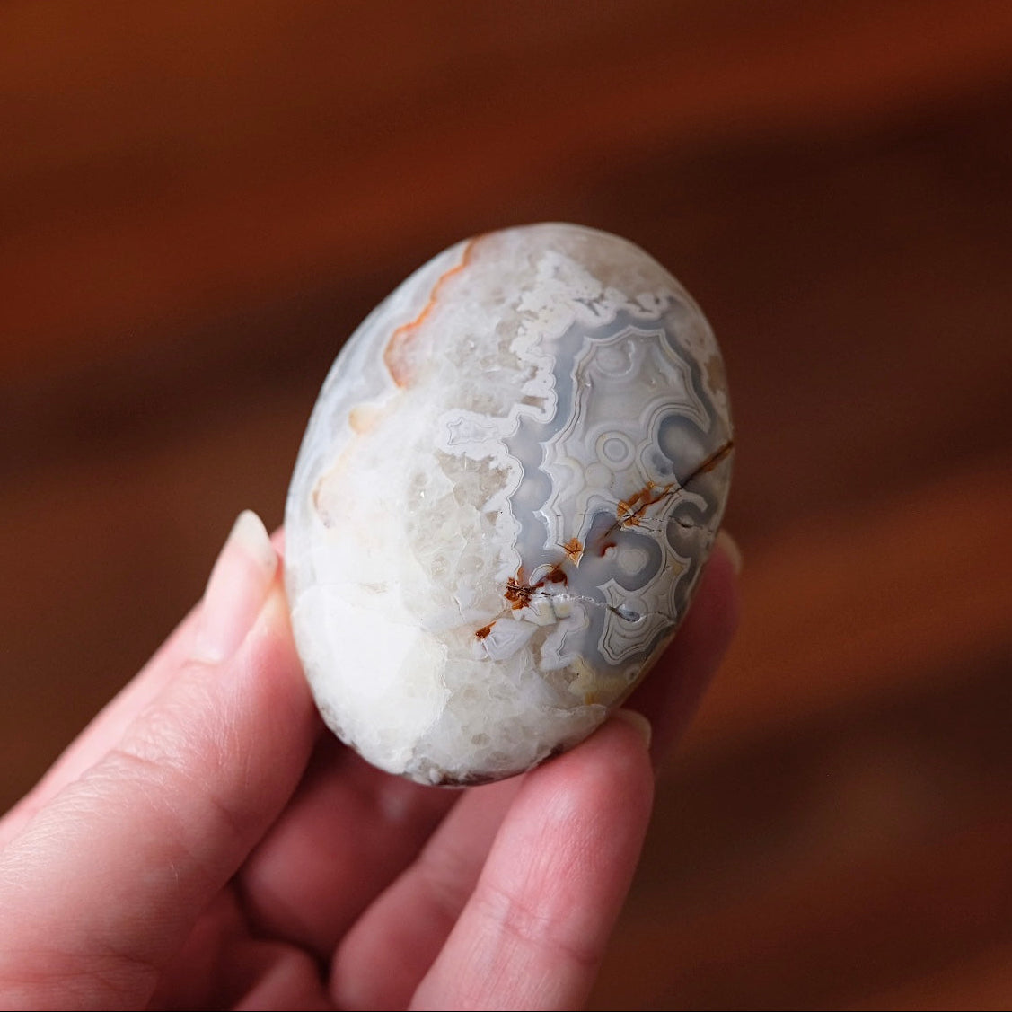 Grey Crazy Lace Agate Palm | Mexican Crazy Lace Crystal Palm