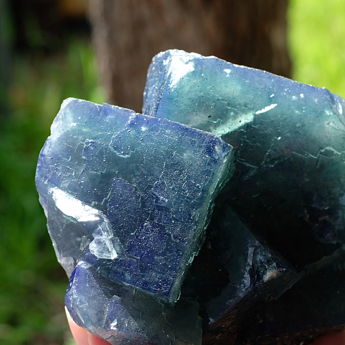 Nigeria Sunshine Fluorite | Colour Change Fluorite Specimen