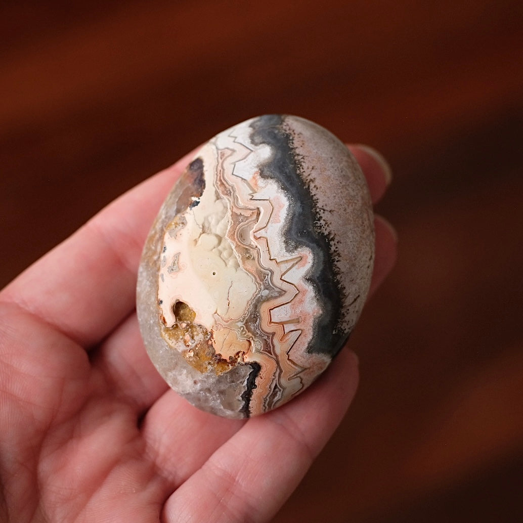 Crazy Lace Agate Palm | Mexican Crazy Lace Crystal Palm