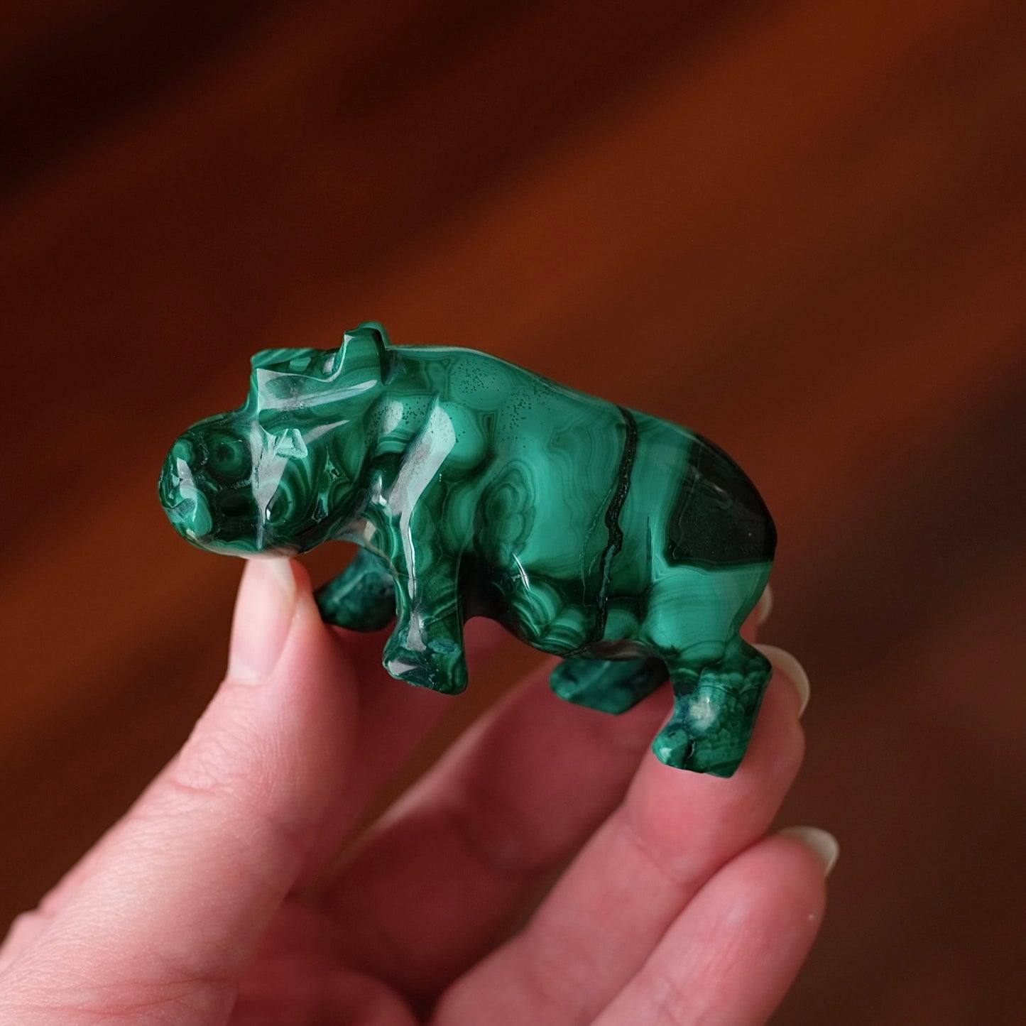 Malachite Hippo Carving | Crystal Animal Carving | Animal Totem