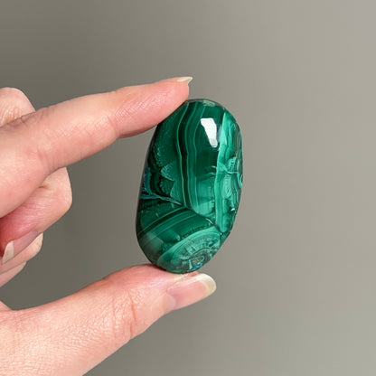 Malachite Palm | Malachite Chrysocolla Crystal Palm