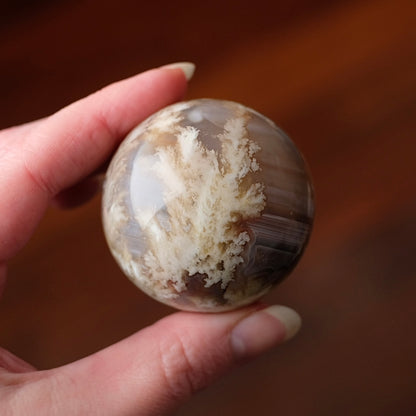 Swazi Agate Sphere | Mozambique Moss Agate Crystal Sphere