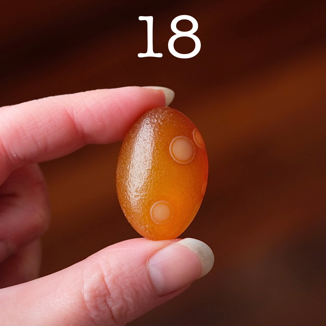 You Choose! Gobi Agate | Gobi Desert Agates