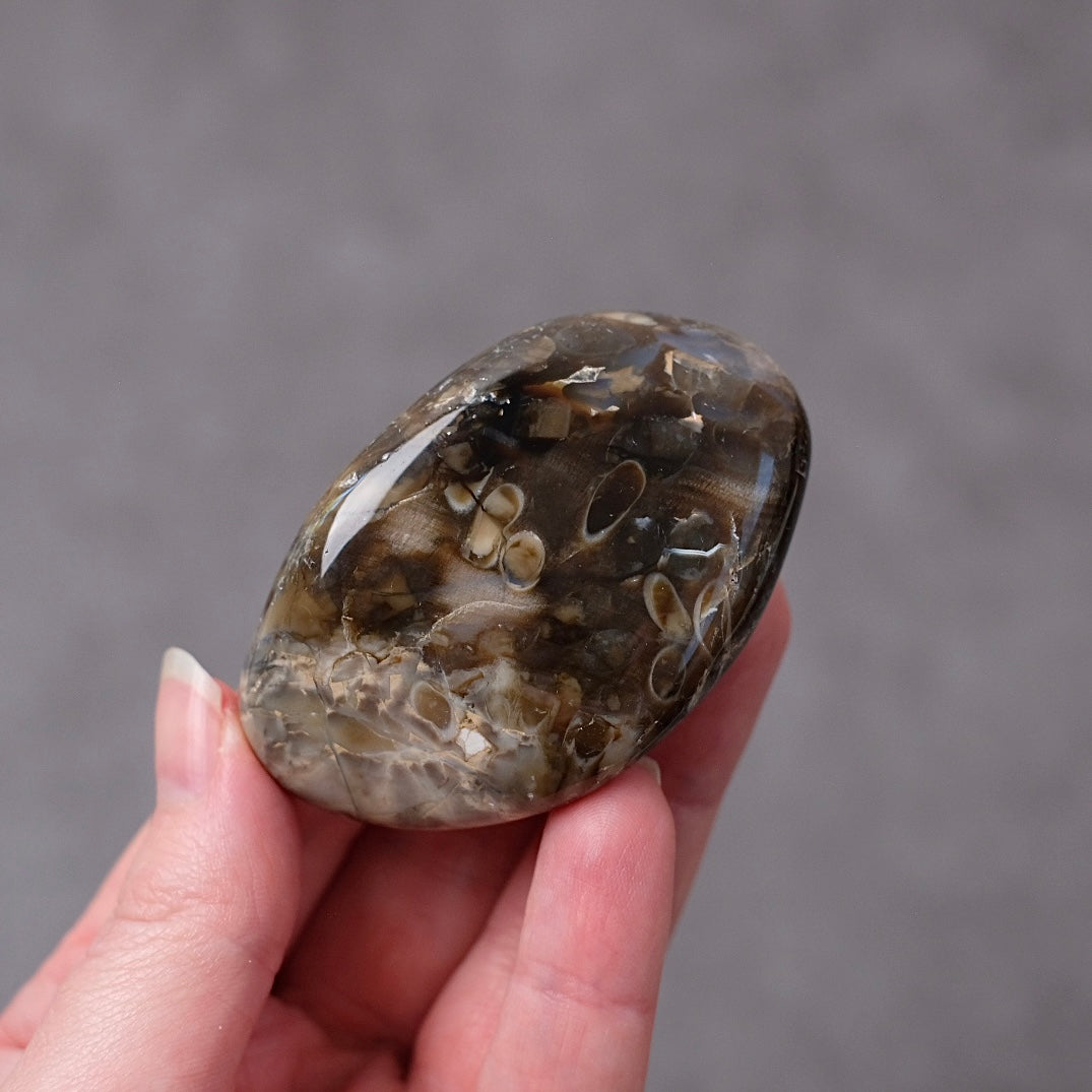 Australian Peanut Wood  | Polished Peanut Wood Crystal Freeform