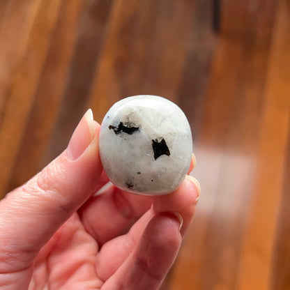 Rainbow Moonstone + Aquamarine Tumble | Blue Moonstone Tumbled Crystal