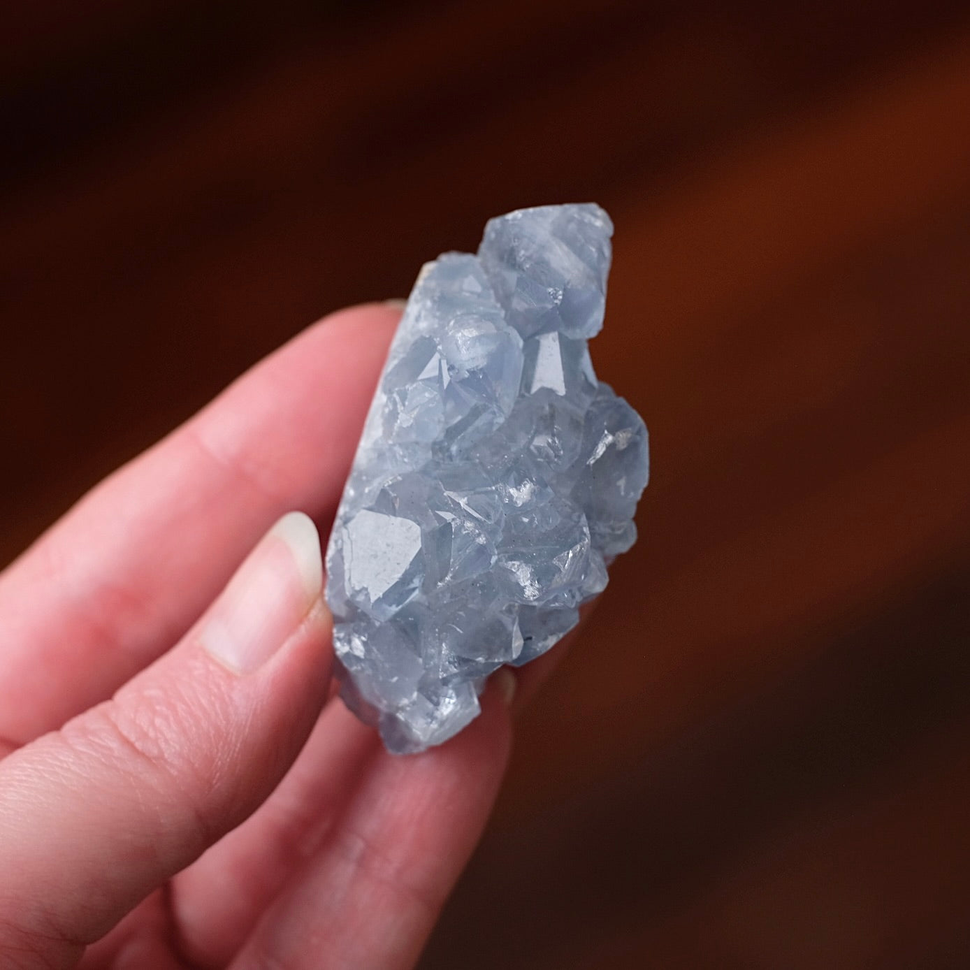 Blue Celestite Cluster | Celestine Crystal Specimen